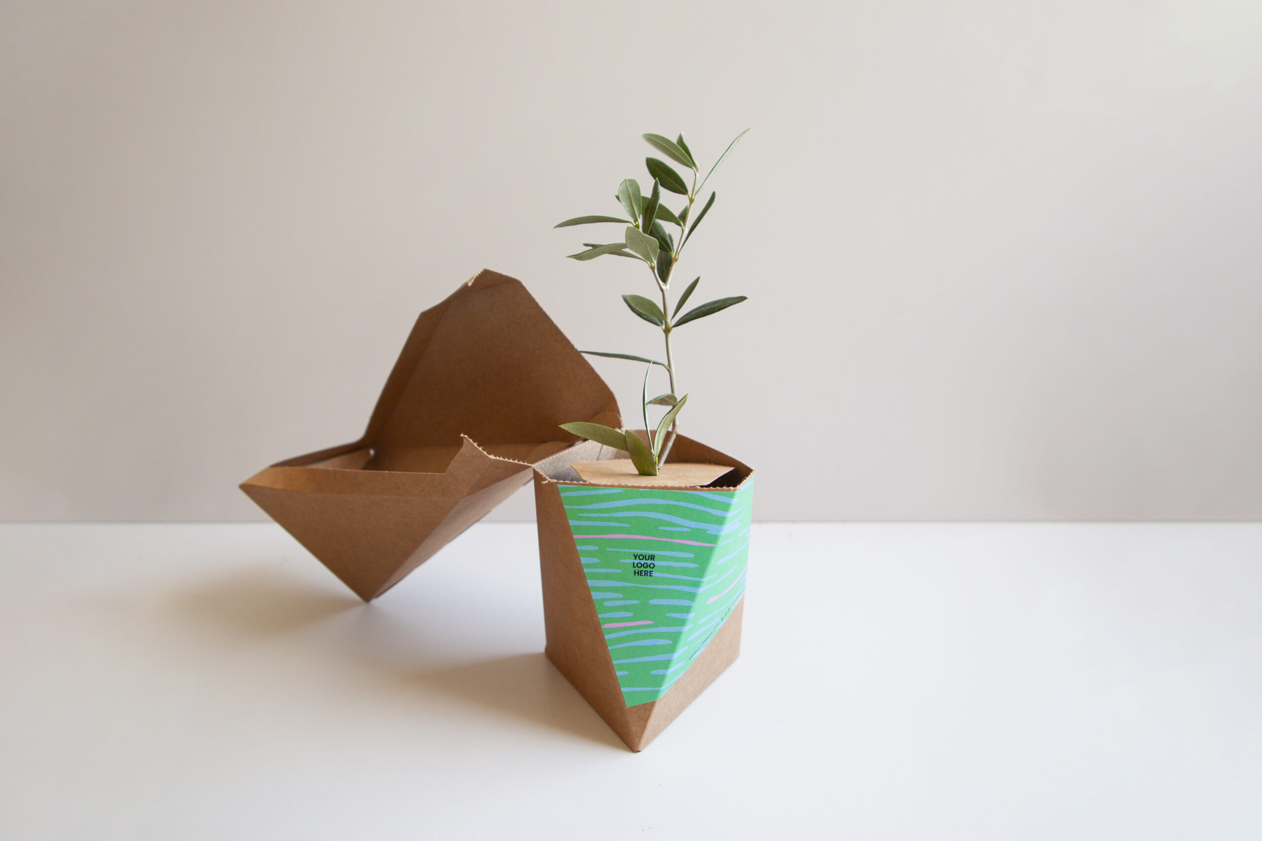 planta viva-16